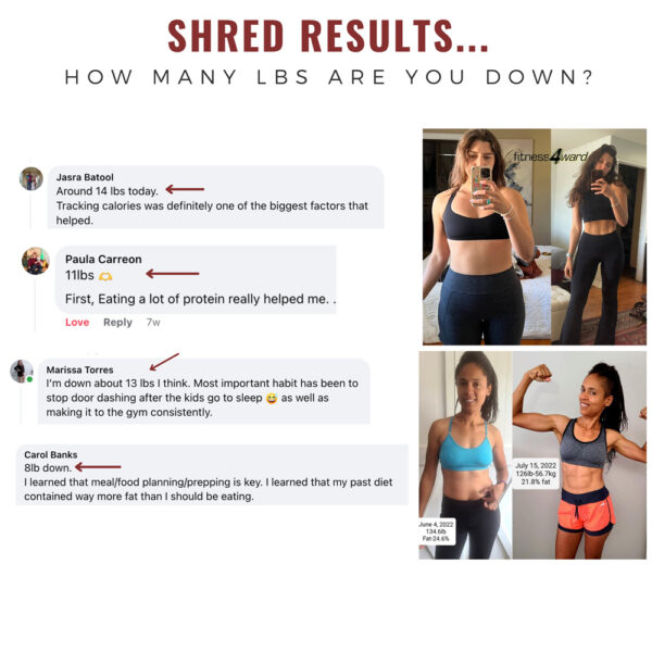 The-Utimate-Shred-Results